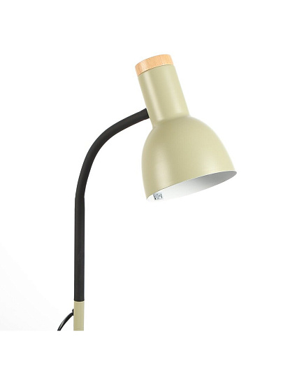 Светильник напольный E27, 40 Вт, светло-зелёный, Camelion, KD-435F C16, 15577, металл + деревянный декор