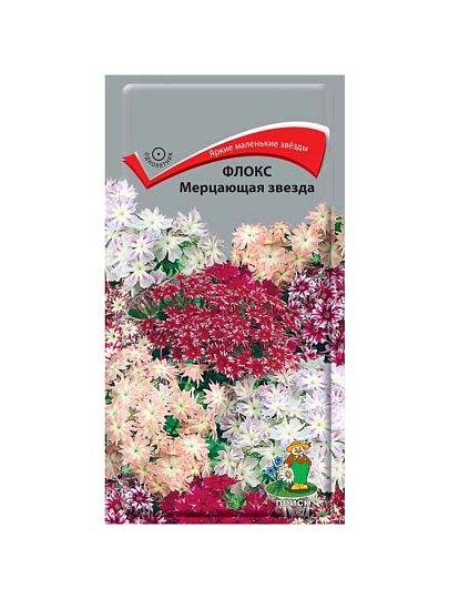 Семена Цветы, Флокс, Мерцающая звезда, 0.2 г, цветная упаковка, Поиск