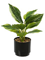 Цветок искусственный декоративный Фикус в кашпо, 36 см, в ассортименте, Y4-11111 - фото 4