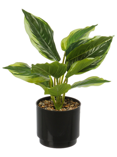 Цветок искусственный декоративный Фикус в кашпо, 36 см, в ассортименте, Y4-11111