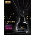Аромадиффузор Breesal, 100 мл, Terra Mystica «Secret fire» Тайный огонь, BR0005