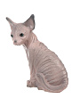 Фигурка гипс, Кошка Сфинкс, 10х21х21 см, G015-21-105 - фото 3
