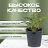 Кашпо пластик, 7.5 л, 26.5х25 см, универсальное, антрацитовое, Бархан, КШ-4363 - фото 7