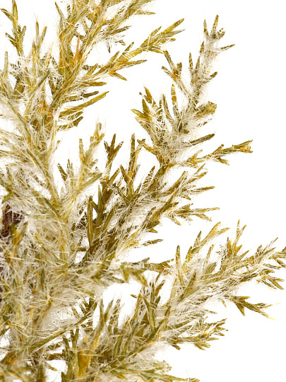 Цветок искусственный декоративный, 54 см, зеленый, Y4-11113