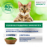 Корм для животных Perfect Fit, 75 г, для взрослых кошек, желе, индейка, для иммунитета, Q2969 - фото 4