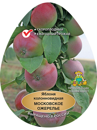 Саженцы Яблоня колонновидная, Московское ожерелье, Х-2, подвой 54-118 полукарл, 801646