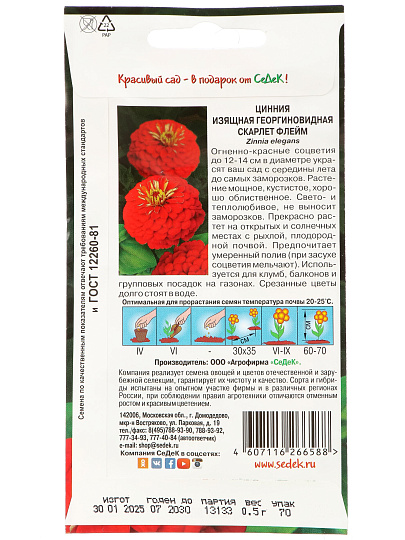 Семена Цветы, Цинния, Скарлет Флейм георгиновидная, георгиновидная, красная, цветная упаковка, Седек
