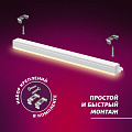 Светильник светодиодный для растений, 9 Вт, 220-240 В, IP20, Т5, Эра, FITO-9W-T5-Ra90, Б0049311 - фото 12