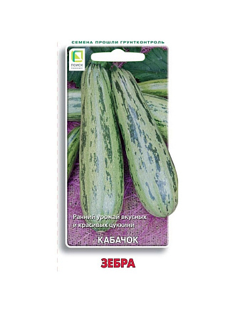 Семена Кабачок-цуккини, Зебра, цветная упаковка, Поиск