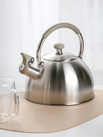 Чайник нержавеющая сталь, 2.5 л, со свистком, матовый, ручка силикон, Катунь, индукция, серебристый, КТ-149