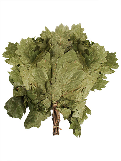 Веник банный дуб канадский, в упаковке, Бацькина Баня, 20518