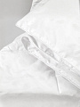 Одеяло евро, 200х220 см, Лебяжий искусственный пух, 300 г/м2, зимнее, чехол 100% хлопок, кант, Verossa - фото 4