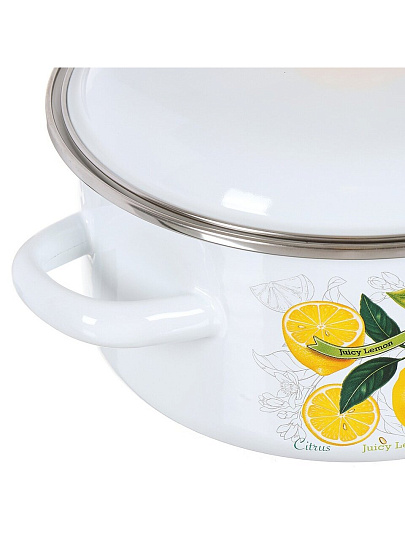 Набор посуды эмалированная сталь, 3 предмета, кастрюли 2,3,4 л, индукция, СтальЭмаль, Лимоны в цвету, 1KB051M