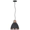Светильник подвесной Camelion, PL-426М C62 Loft, 40 Вт, E27, на 1 лампочку, IP20, черный, медь, 13032