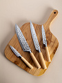 Набор ножей 5 предметов, нержавеющая сталь, рукоятка дерево, с подставкой, акрил, Daniks, Вуд Грейс, JA20204413 - фото 9