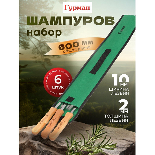 Шампур лезвие плоское, 6 шт, 600х10х2 мм, нержавеющая сталь, рукоятка дерево, Гурман, в чехле, CB2222