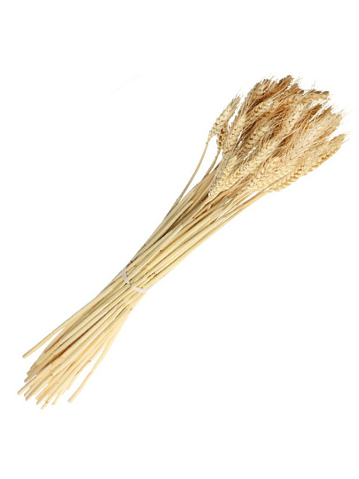 Цветок искусственный декоративный Колосья, бежевый, Y4-5315
