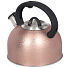 Чайник нержавеющая сталь, 3 л, со свистком, матовый, ручка с силиконовым покрытием, Daniks, индукция, золотая кожа, MSY-075 - фото 3
