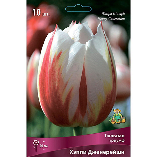Луковицы Тюльпан Триумф, Хэппи Дженерейшн, 11-12/К, 10 шт