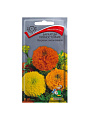 Семена Цветы, Бархатцы, 0.5 г, прямостоячие махровые, смесь окрасок, цветная упаковка, Поиск