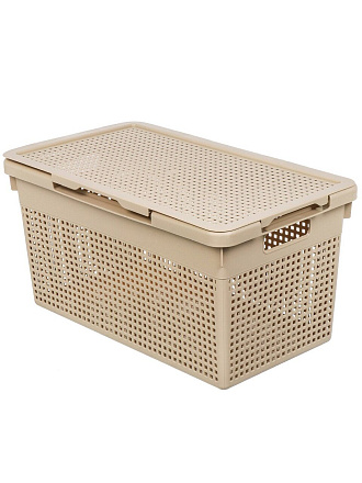 Корзина для хранения, 21 л, 45х26х24 см, прямоугольная, пластик, латте, с крышкой, Violet, Лофт, 562120