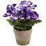 Цветок искусственный декоративный Фиалки в кашпо, 23х10 см, Y4-7933 - фото 2