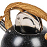 Чайник нержавеющая сталь, 2.8 л, со свистком, ручка soft touch, Катунь, Гранит, индукция, черный, КТ-150MB - фото 5