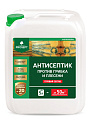 Антисептик Prosept, универсальный, против плесени и грибка, 5 л