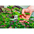 Секатор садовый универсальный 185 мм, лезвие: 42 мм, VERTO, 15G200 - фото 2