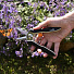 Ножницы для растений, 8 мм, прямые, Plantic, рукоятка soft-touch, 35306-01 - фото 4