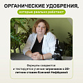 Удобрение Биомолекулы, для рассады, 400 мл, Удобряй - фото 6