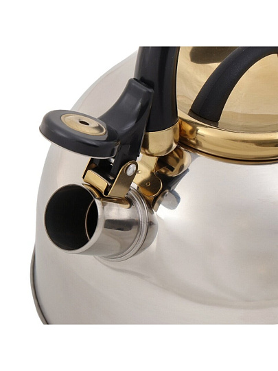 Чайник нержавеющая сталь, 2.7 л, со свистком, зеркальный, ручка бакелитовая, с силиконовым покрытием, Daniks, Мадрид Голд, индукция, M-001PM