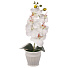 Цветок искусственный декоративный Орхидея в кашпо, 32 см, белый, Y4-7934 - фото 4