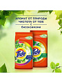 Стиральный порошок Tide, 3 кг, автомат, для цветного белья, Color Сибирские травы - фото 6