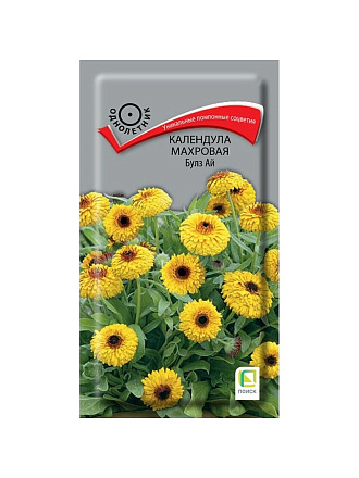 Семена Цветы, Календула, Булз Ай, 0.1 г, махровая, цветная упаковка, Поиск