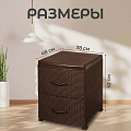 Комод 2 ящика, Ротанг, 38х48х52 см, коричневый, 0355/1/035501, Violet