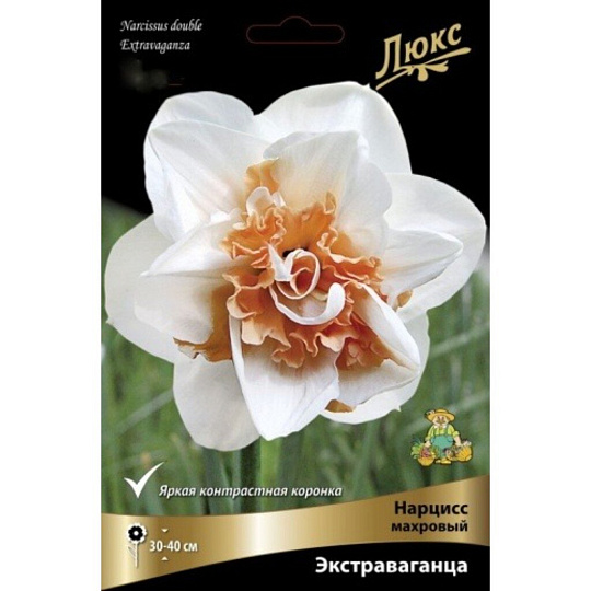 Луковицы Нарцисс махровый, Экстраваганца, 12-14/К, 3 шт