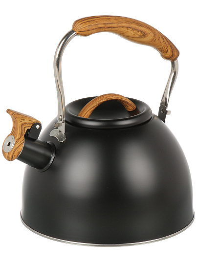 Чайник нержавеющая сталь, 2.5 л, со свистком, матовый, ручка с покрытием, нейлон, Daniks, индукция, GS-04415B