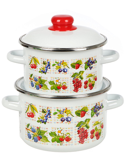 Набор посуды эмал сталь, 2 пр, кастрюли 2, 3 л, индукц, СтальЭмаль, Вкус лета, 1KB361M