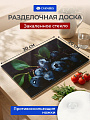 Доска разделочная стекло, 30х20 см, прямоугольная, Daniks, Голубика