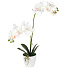 Цветок искусственный декоративный Орхидея в кашпо, 55 см, белый, Y4-7945 - фото 2