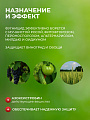 Фунгицид Интрада, защита овощных и полевых культур, 50 мл, жидкость, Avgust - фото 4
