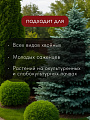 Удобрение для хвойных, с биодоступным кремнием, пролонгированное, ведро, минеральное, 1 л, Bona Forte - фото 2
