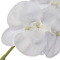 Цветок искусственный декоративный Орхидея, 107 см, белый, Y6-10365 - фото 2