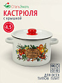 Кастрюля эмалированная сталь, 4.5 л, крышка сталь, кнопка, цилиндр, СтальЭмаль, Смак, 1с17с, белая, индукция