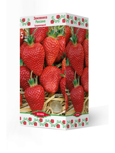 Саженцы Земляника садовая, Роксана, 5 шт, 678371