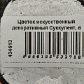 Цветок искусственный декоративный Суккулент, в кашпо, 6.5х6.5х10 см, Y4-6920 - фото 5