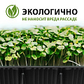 Кассета рассадная 5 шт, 180х135х60 мм, 6 ячеек, Скорая помощь - фото 4