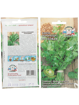Семена Кинза, Пучковая, цветная упаковка, Седек