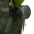 Цветок искусственный декоративный Орхидея в кашпо, 52 см, белый, Y4-7938 - фото 3